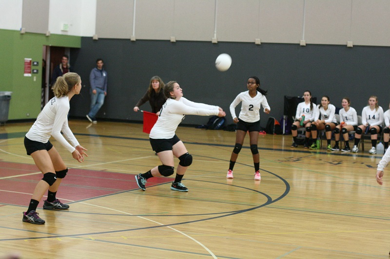 molly-volleyball